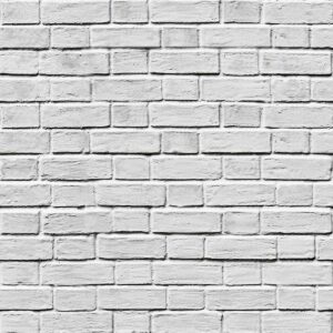 Masonry Brick White