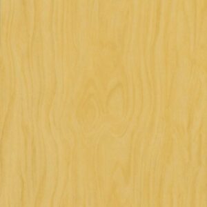 Hoop Pine