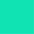 PANTONE 2448 C
