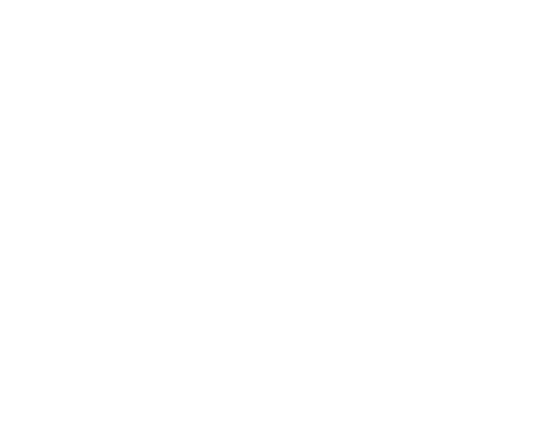 Acoufelt White Icon