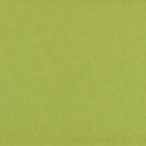 Wasabi