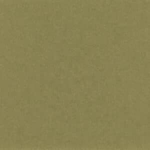 <b>Eucalyptus (NEW)</b>