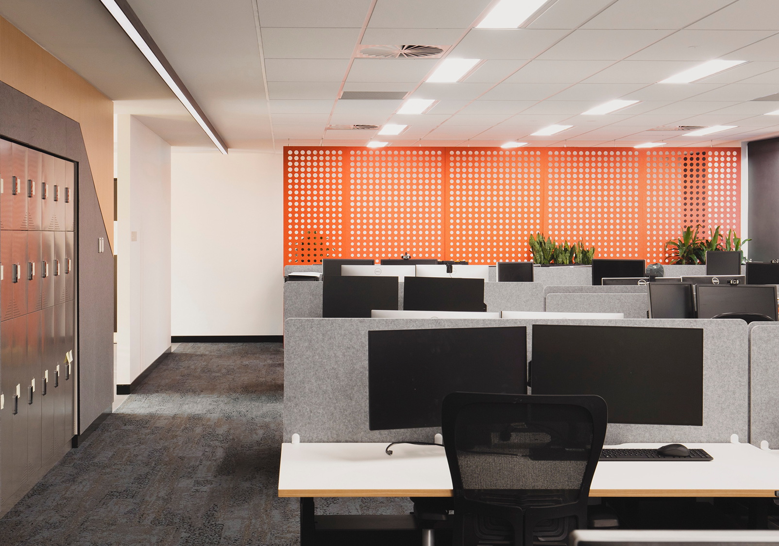 Evoenergy image 04