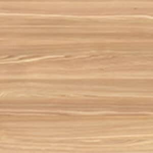 European Larch