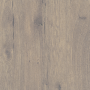 Nordic Plank