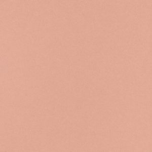 Flamingo-FL61-scaled