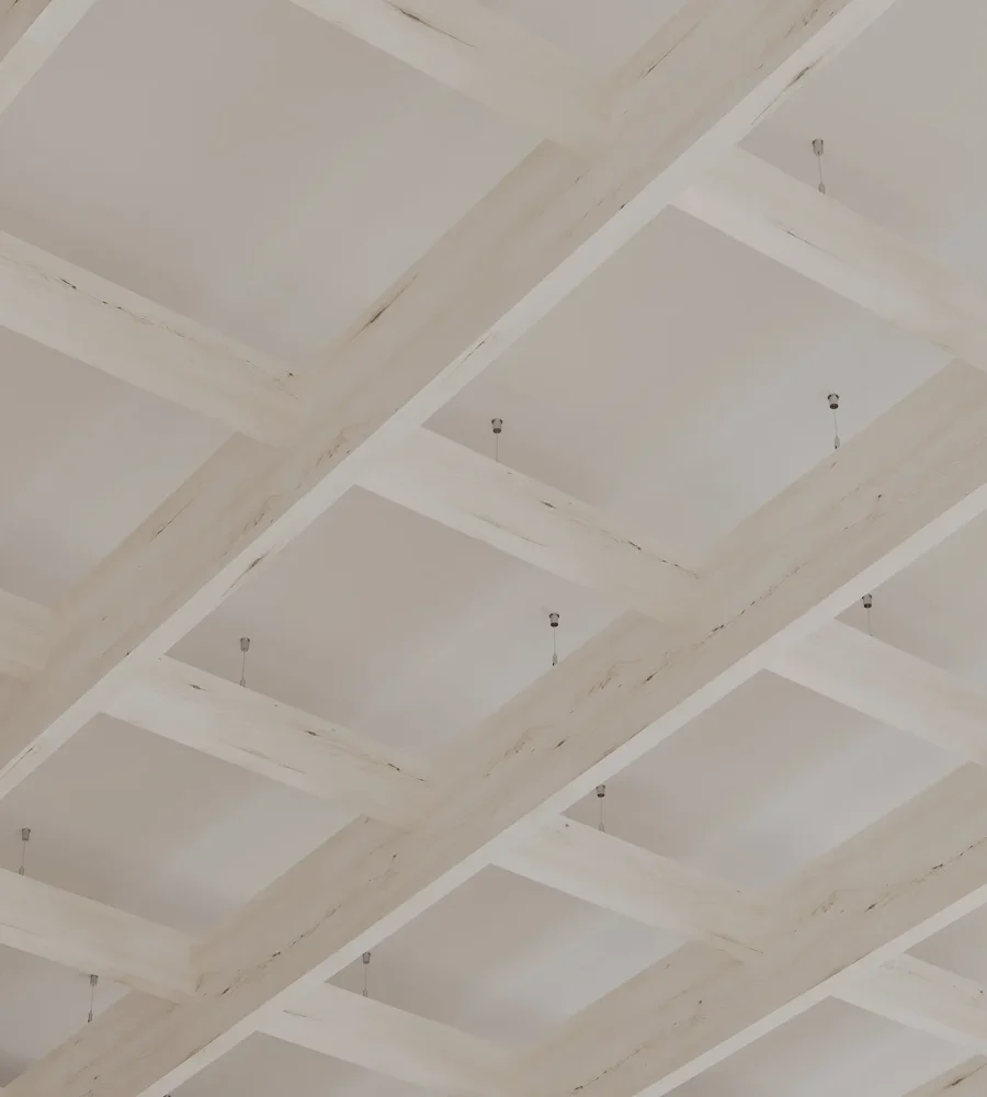 Framework Frameless Ceiling Grids | White Elm | WoodGrain Collection