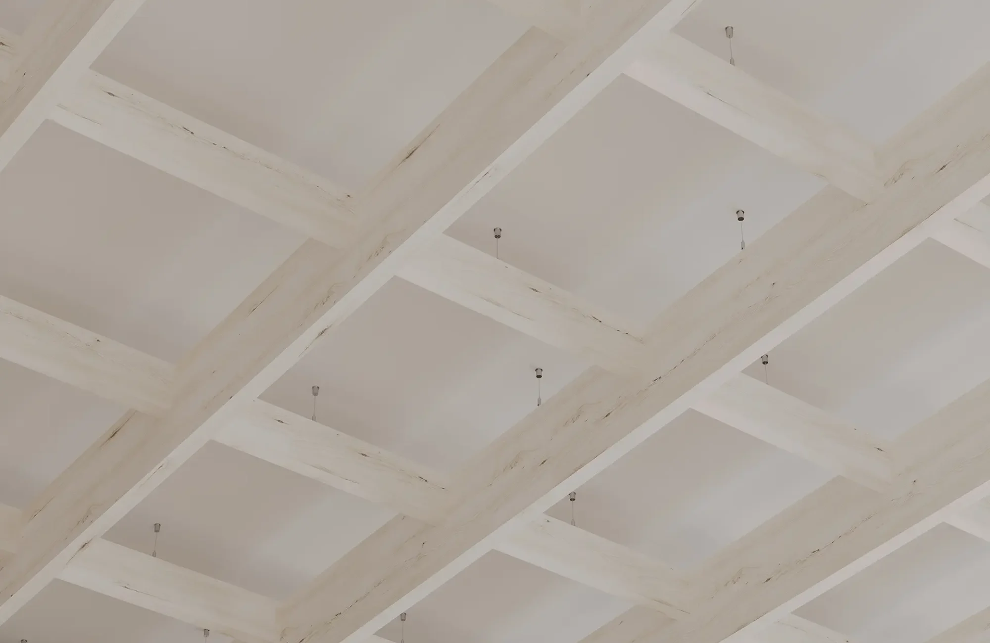 Framework Frameless Ceiling Grids | White Elm | WoodGrain Collection