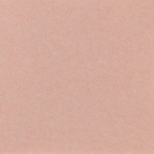 Valentine-Scan